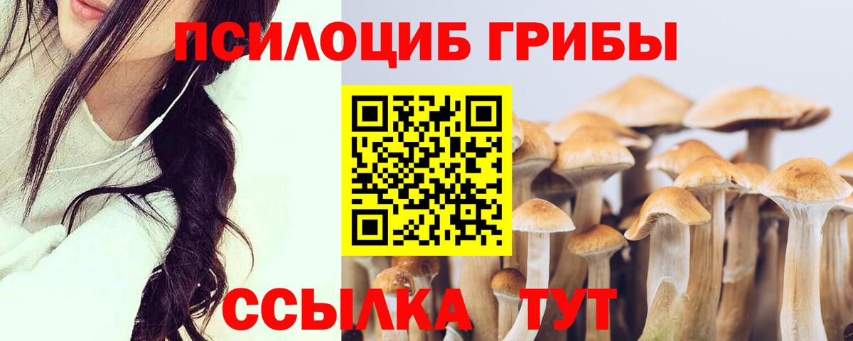 Галлюциногенные грибы GOLDEN TEACHER  где продают   Аксай  Вход с VPN 